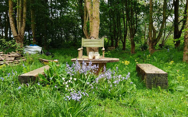 woodland-seating-at-rides-house-farm
